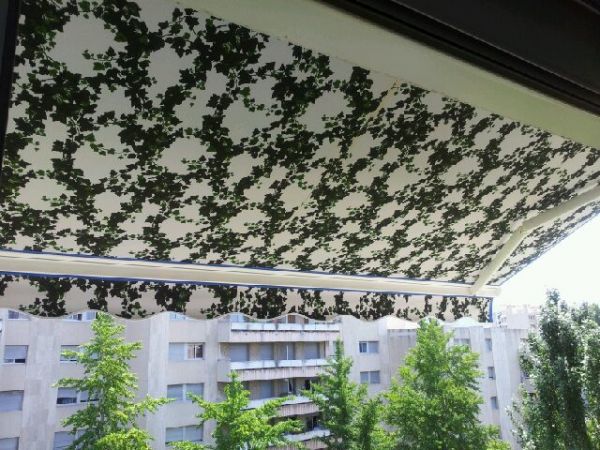 Store de terrasse avec lierre intérieur à Marseille 13008